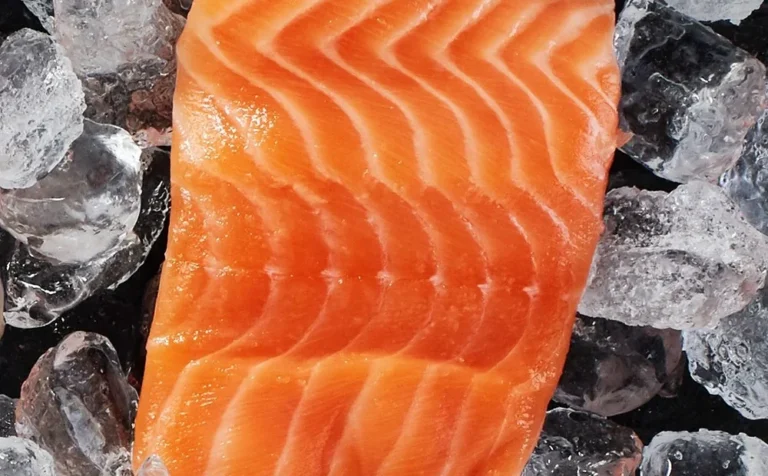 KD-Naked-Salmon-portion-on-ice-edited_2000x-e1741864135661.webp.webp