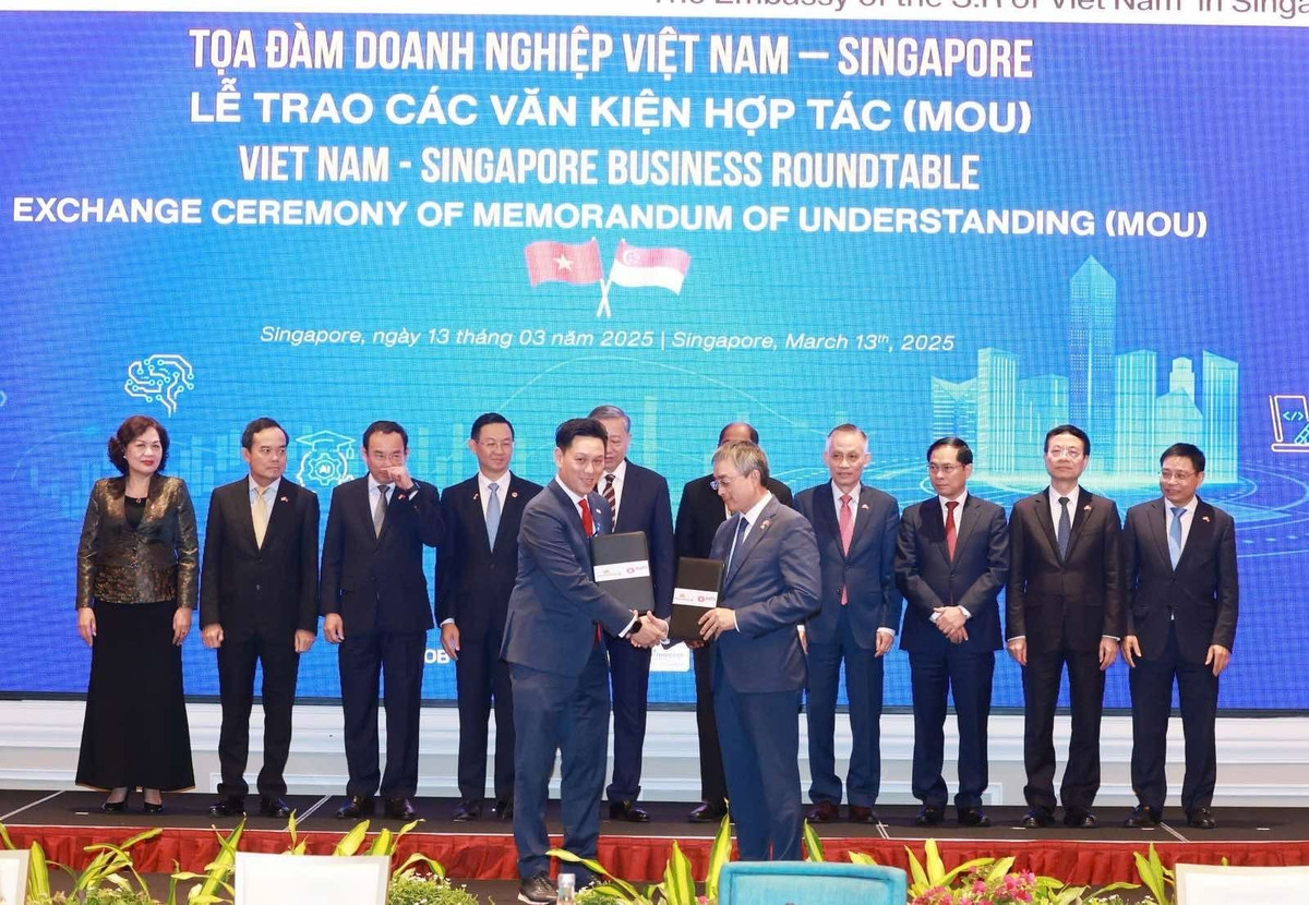 SATS-VNA-MoU-at-Vietnam-Singapore-Business-Roundtable.jpg