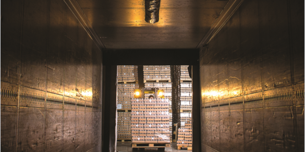 csm_ctu-crop-plain-image_3d6127be43.webp.webp