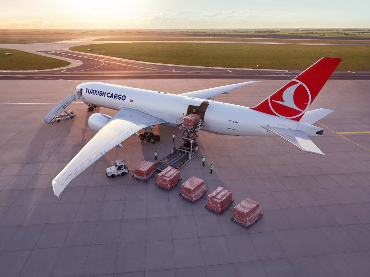 Turkish-Cargo-1.jpg