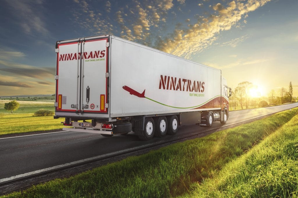 Ninatrans.jpg